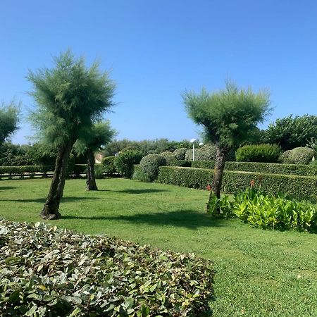 Vittoria Immobilier 4-Reglement Sur Place -Cheques Vacances Acceptes ラ・グランド・モット エクステリア 写真