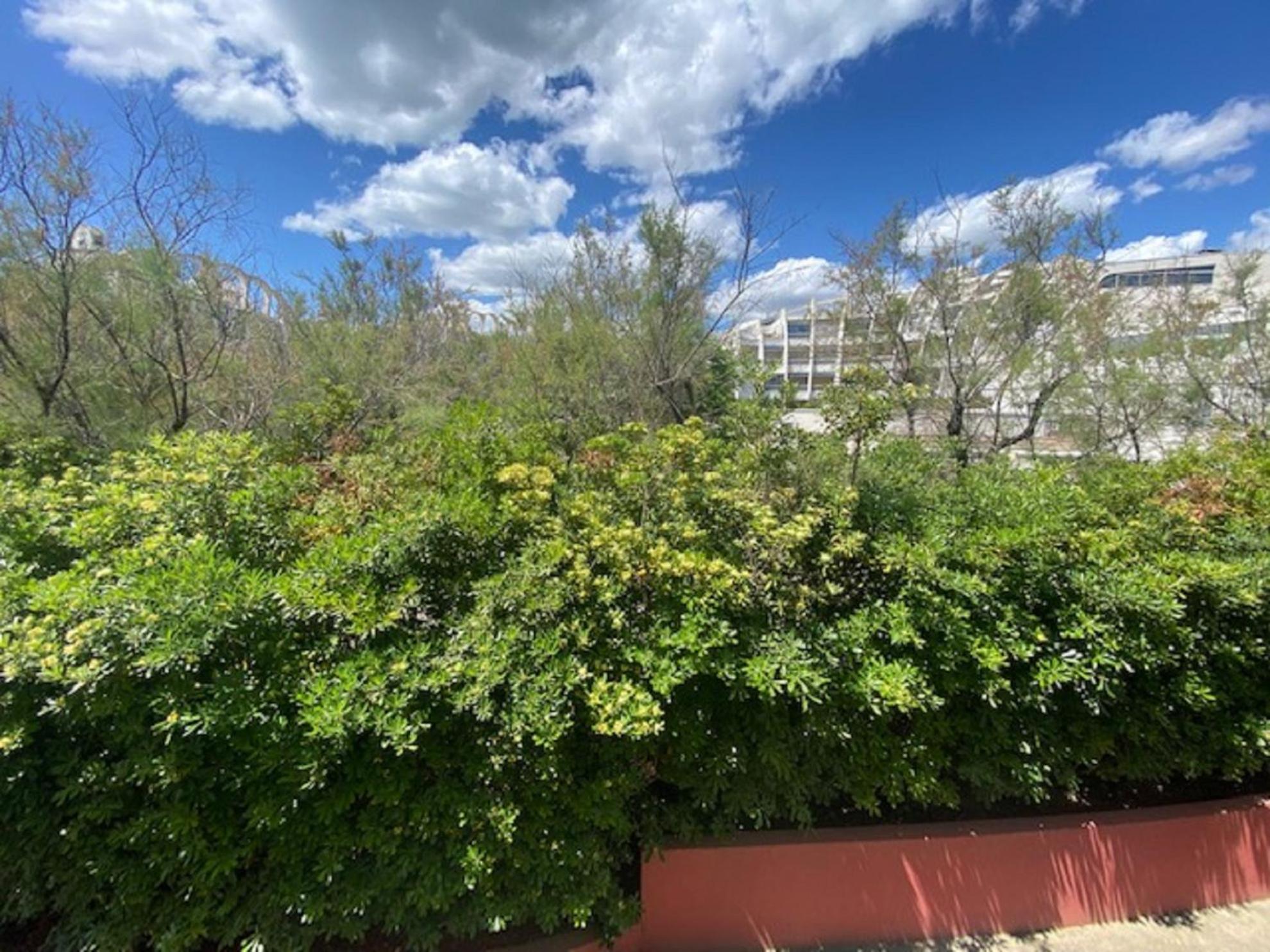 Vittoria Immobilier 4-Reglement Sur Place -Cheques Vacances Acceptes ラ・グランド・モット エクステリア 写真